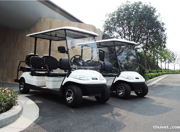 南山酒店--6座高尔夫球车