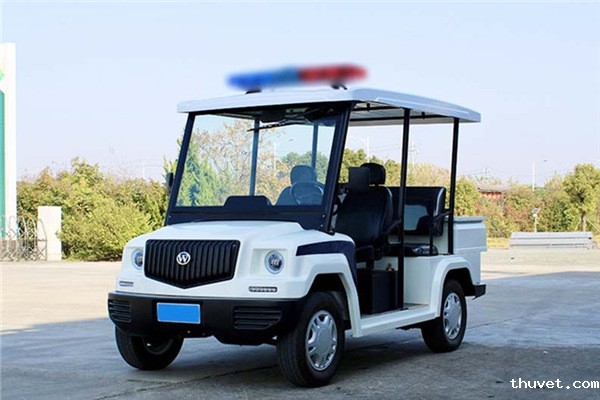 5座带斗电动巡逻车