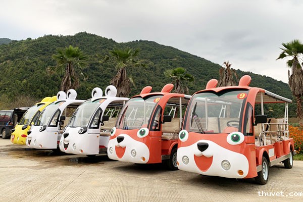 燃油观光车-卡通款