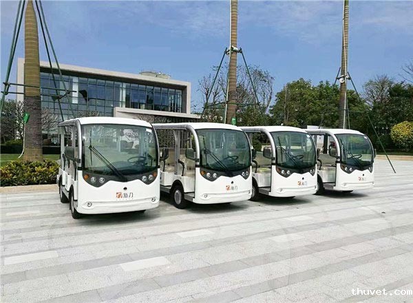 旅游观光车定制